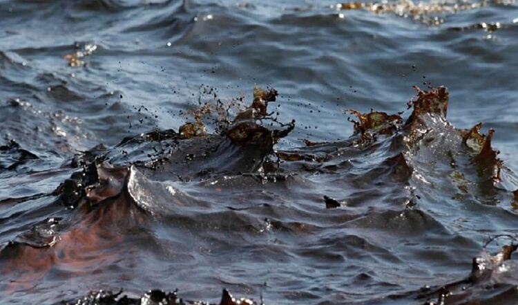 Черно море е доста замърсено