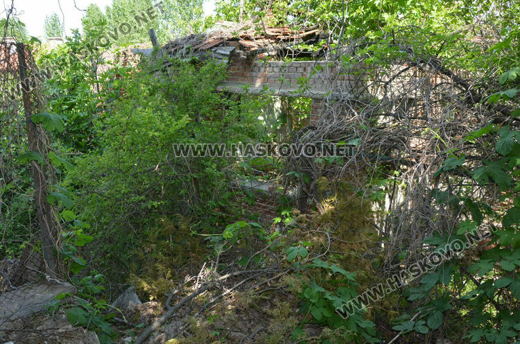 Задържаният Иван за убийството на Маги е агресирал срещу педагог във ФСГ-Хасково