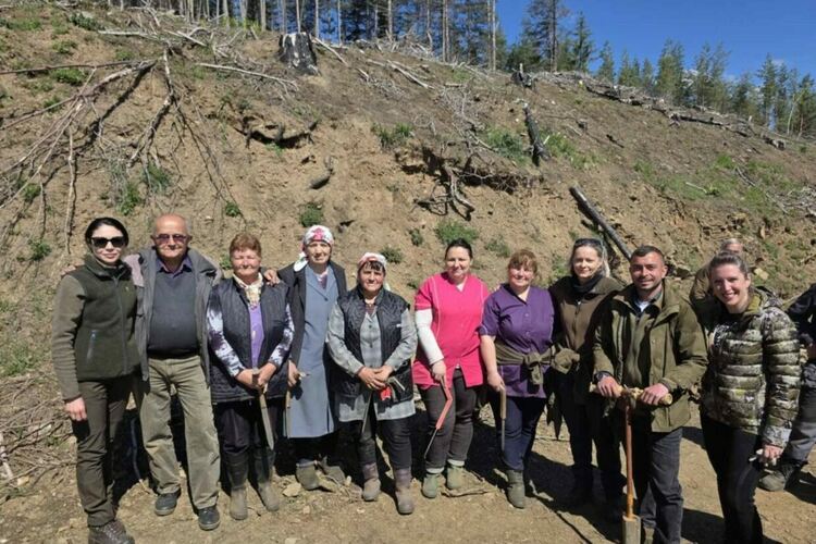 Служители на ЮЦДП-Смолян залесиха 9 дка опожарени територии край село Хвойна