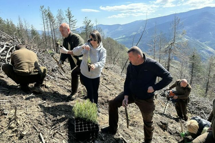 Служители на ЮЦДП-Смолян залесиха 9 дка опожарени територии край село Хвойна