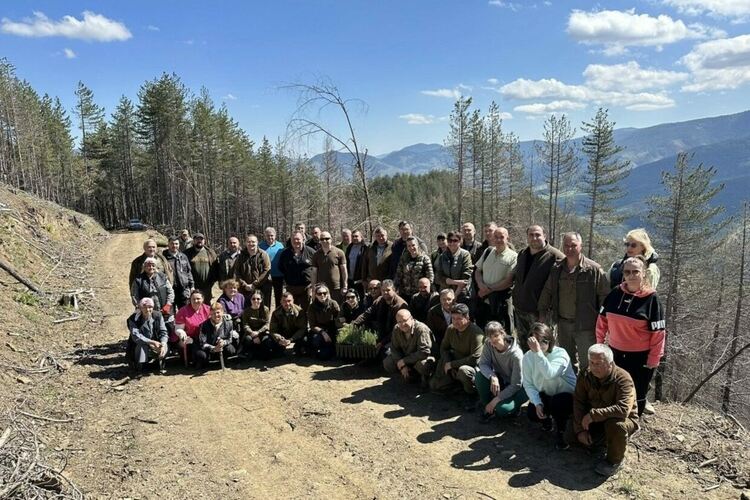 Служители на ЮЦДП-Смолян залесиха 9 дка опожарени територии край село Хвойна