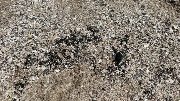 Нефтени петна изплуват по плажната ивица в Поморие