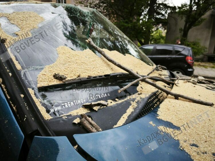Дърво падна и премаза автомобил във „Възрожденци“