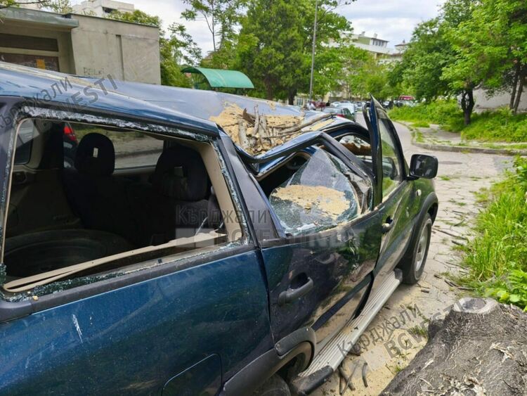 Дърво падна и премаза автомобил във „Възрожденци“