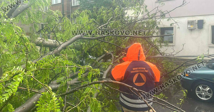 Бурята събори дърво и бетонен стълб върху кола в Хасково