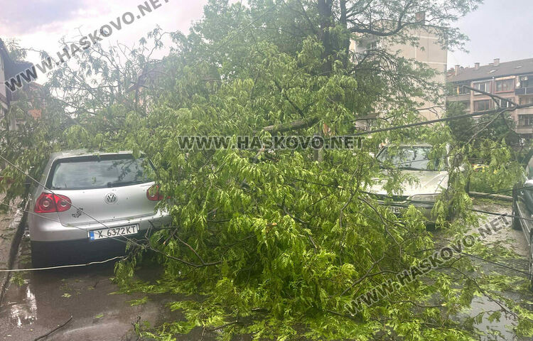 Бурята събори дърво и бетонен стълб върху кола в Хасково