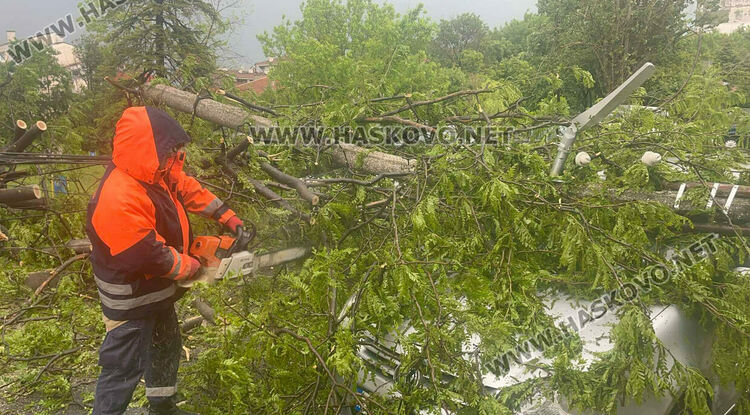 Бурята събори дърво и бетонен стълб върху кола в Хасково