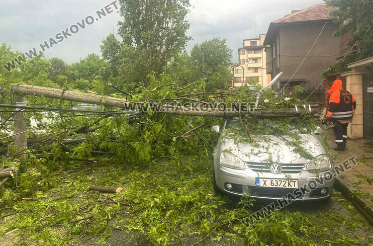 Бурята събори дърво и бетонен стълб върху кола в Хасково