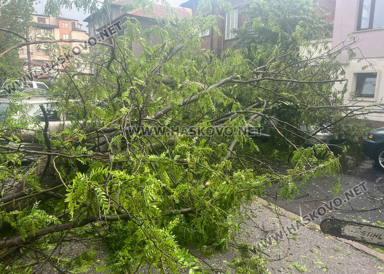 Бурята събори дърво и бетонен стълб върху кола в Хасково