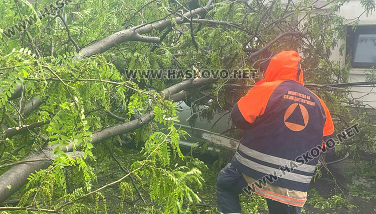 Бурята събори дърво и бетонен стълб върху кола в Хасково