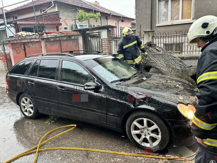 Силни пориви на вятъра събориха дървета в Димитровград - затиснаха и автомобил