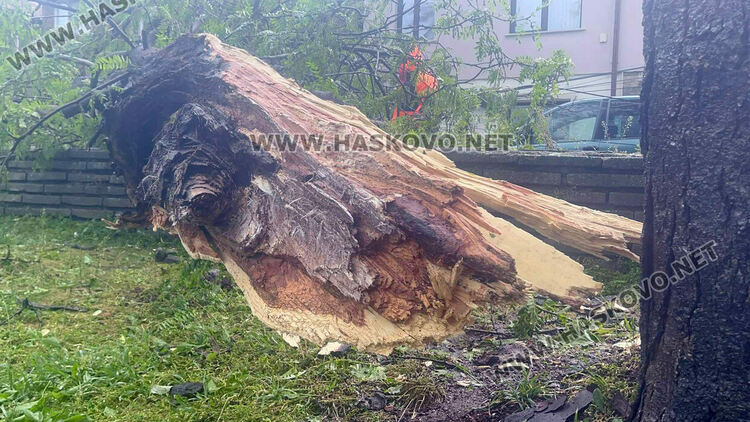 Бурята събори дърво и бетонен стълб върху кола в Хасково