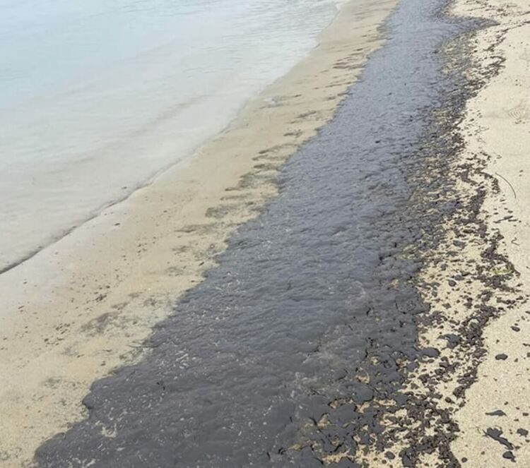 Варна от началото на април, когато заради мазута по брега бе обявено частично бедствено положение