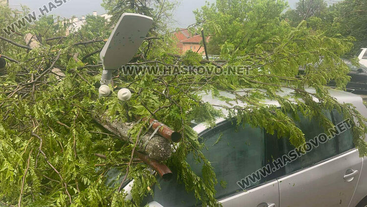 Бурята събори дърво и бетонен стълб върху кола в Хасково