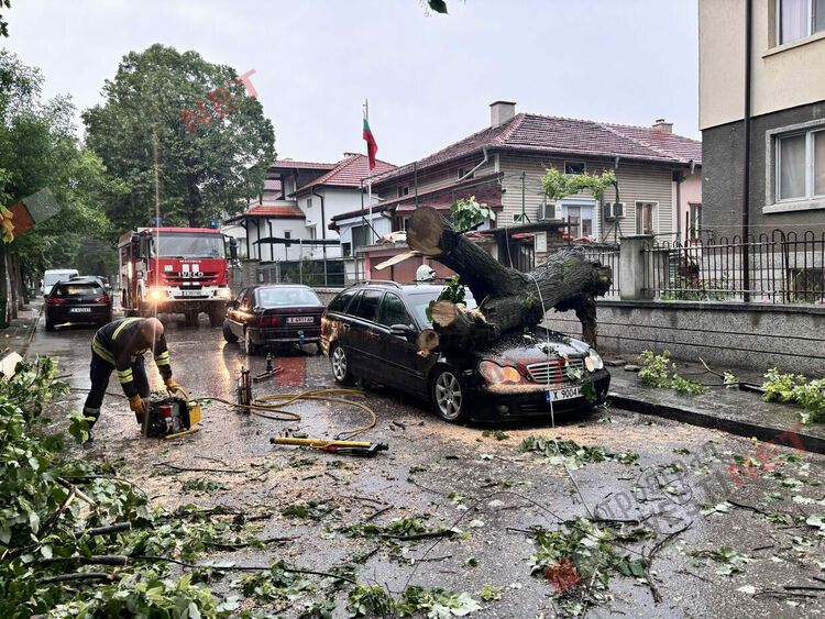 Силни пориви на вятъра събориха дървета в Димитровград - затиснаха и автомобил