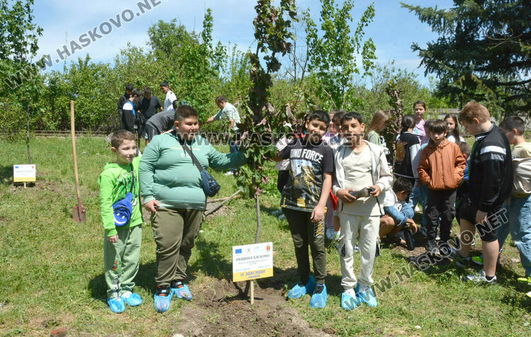 Ученици засадиха 20 нови дръвчета в Хасково в Деня на Европа 