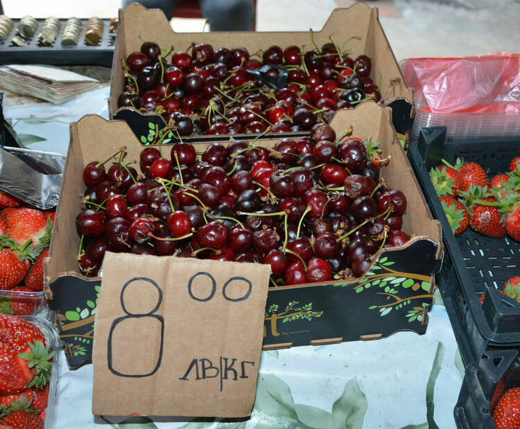 Излязоха първите череши от Крепост, продават се по 20 лева за килограм