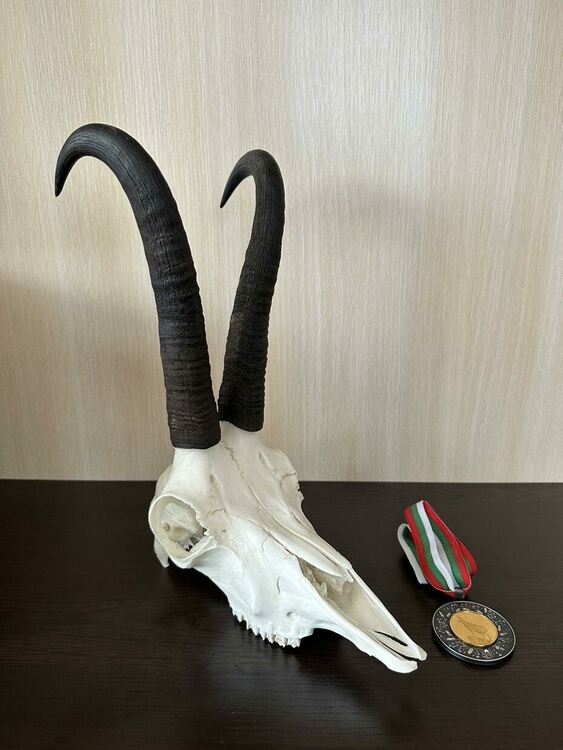 Ловец в „Кормисош“ подобри рекорд от 1938 г. на ловен трофей от дива коза