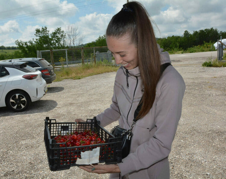 Излязоха първите череши от Крепост, продават се по 20 лева за килограм