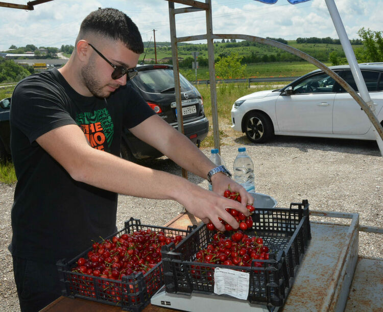 Излязоха първите череши от Крепост, продават се по 20 лева за килограм