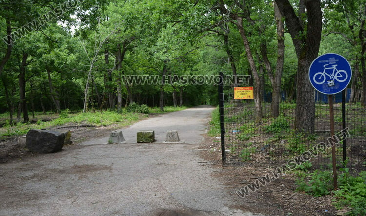 Премахнаха сухи и опасни дървета край езерото в „Кенана“