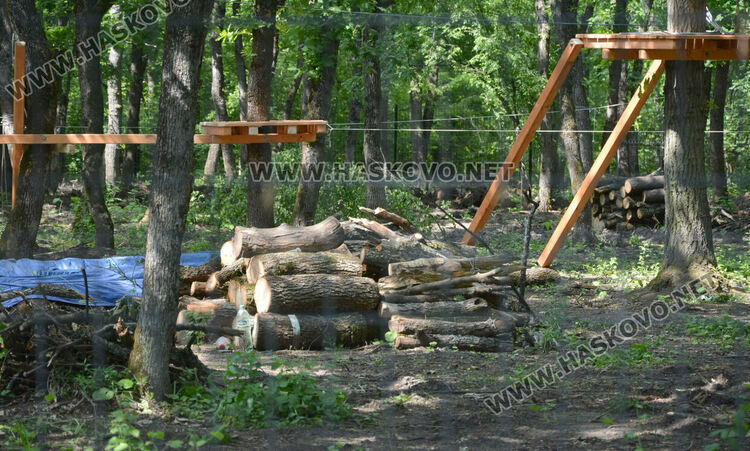 Премахнаха сухи и опасни дървета край езерото в „Кенана“