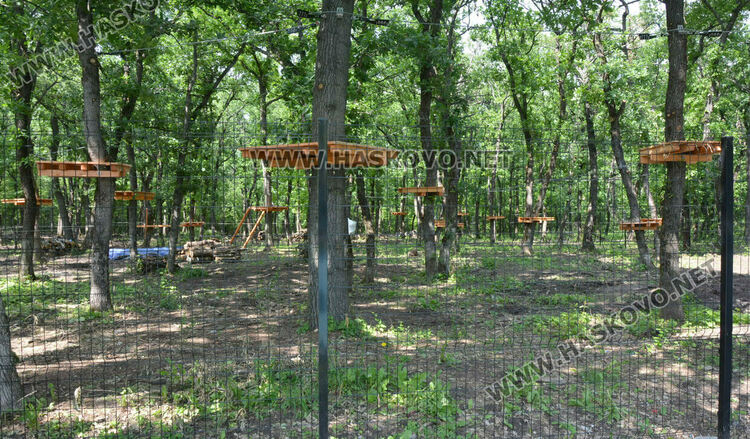 Премахнаха сухи и опасни дървета край езерото в „Кенана“