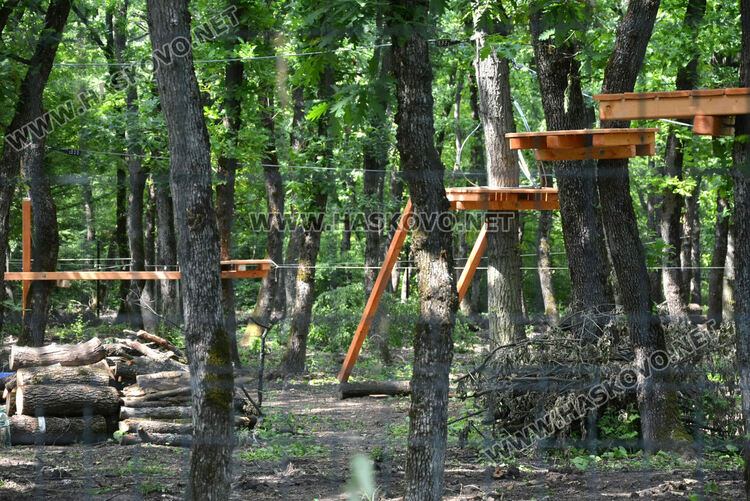 Премахнаха сухи и опасни дървета край езерото в „Кенана“