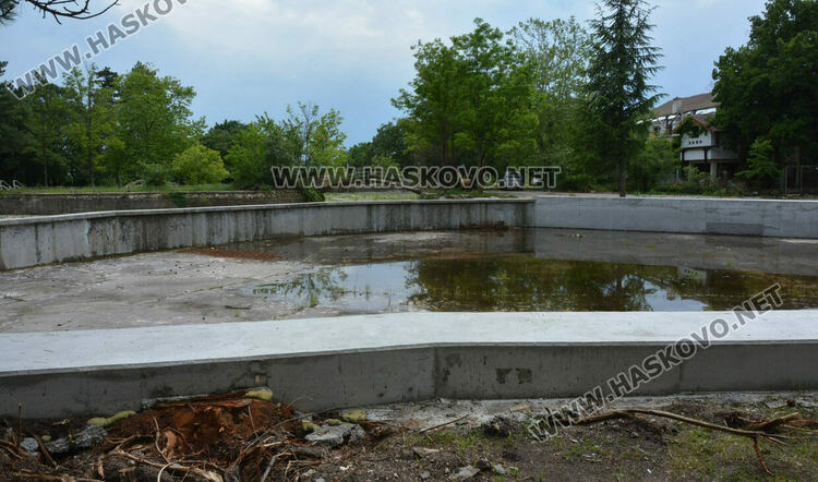 Премахнаха сухи и опасни дървета край езерото в „Кенана“