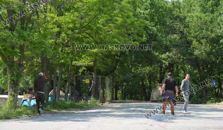 Премахнаха сухи и опасни дървета край езерото в „Кенана“