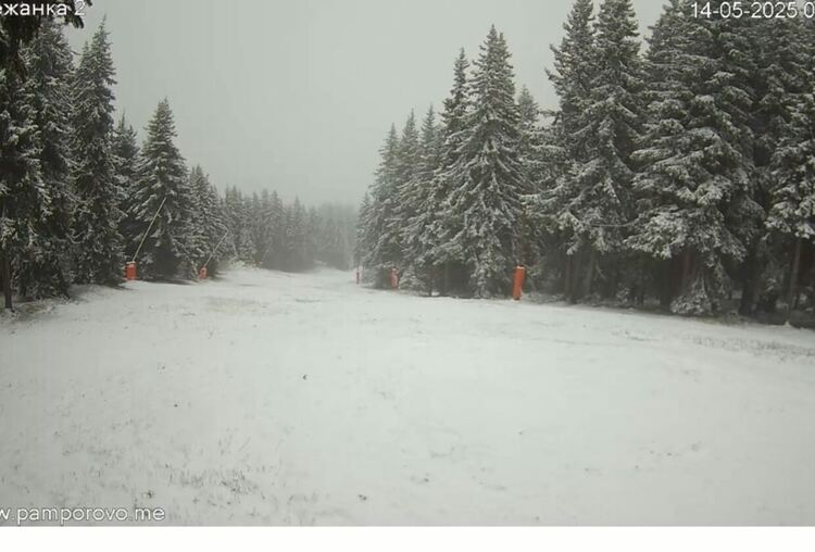 Със снежна покривка осъмнаха високите части на Смолянско (Галерия) 