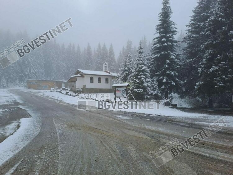 Със снежна покривка осъмнаха високите части на Смолянско (Галерия) 