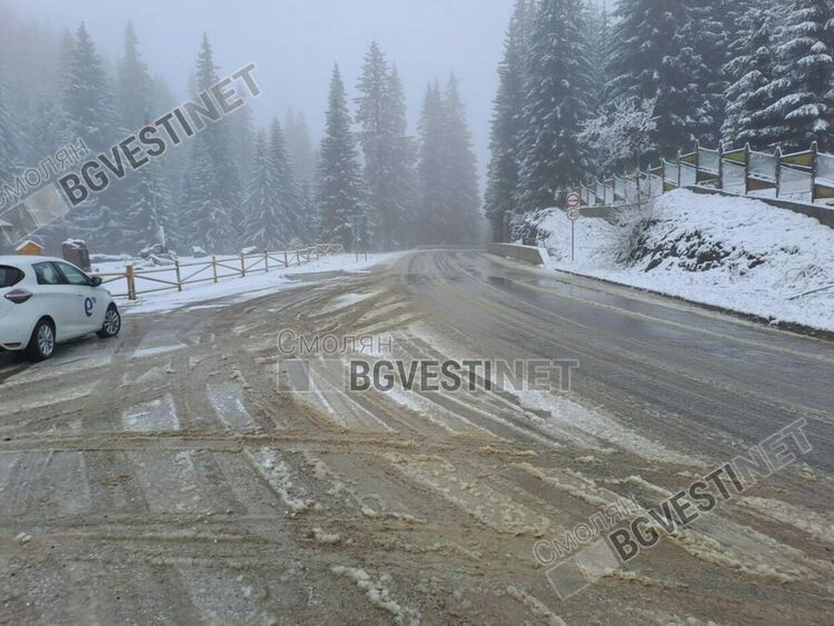 Със снежна покривка осъмнаха високите части на Смолянско (Галерия) 