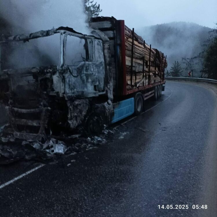 ТИР се запали между Соколовци и Рожен, проходът остана затворен (Обновена) 