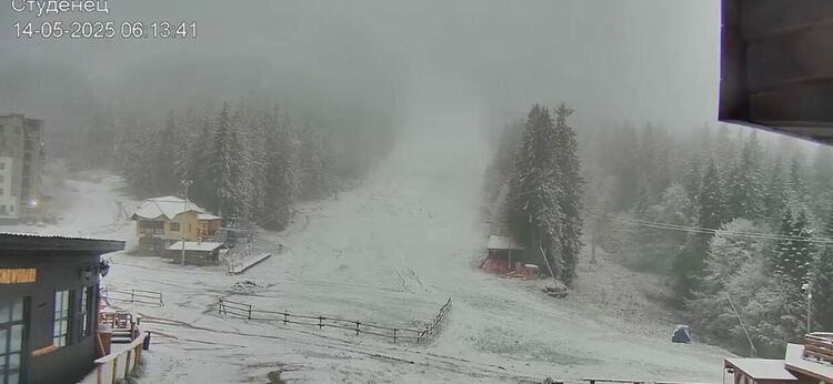 Със снежна покривка осъмнаха високите части на Смолянско (Галерия) 
