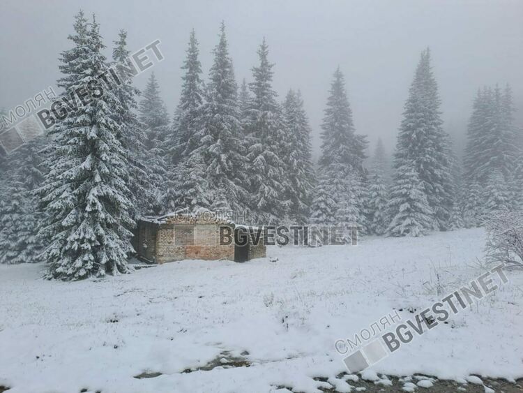 Със снежна покривка осъмнаха високите части на Смолянско (Галерия) 