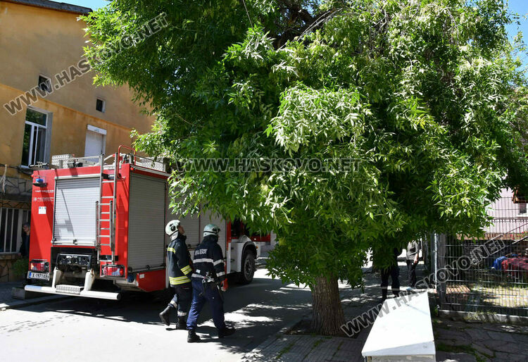 Пожарникари премахнаха опасен клон