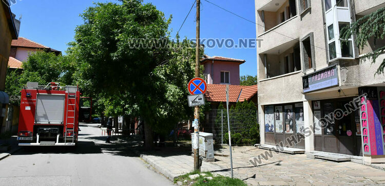 Пожарникари премахнаха опасен клон