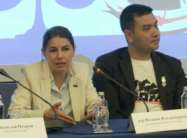 Д-р Велина Владимирова: Жестокостта над животни остава невидима