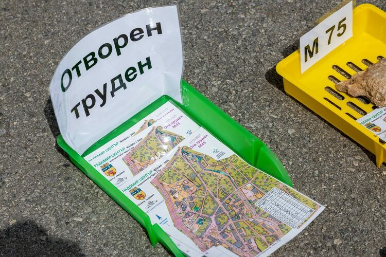 В Деня на българския спорт започна първият етап от двудневното спортно събитие Купа „Радомир“ 2025