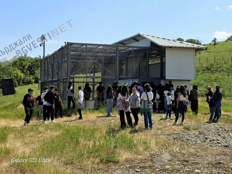 Децата от Нановица получиха званието "Закрилници на египетския лешояд"