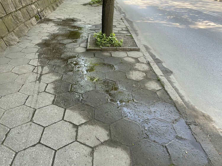 Сигнализираха за стар слаб теч до Оранжевия мост, ВиК отстранява авария на „Славянска“