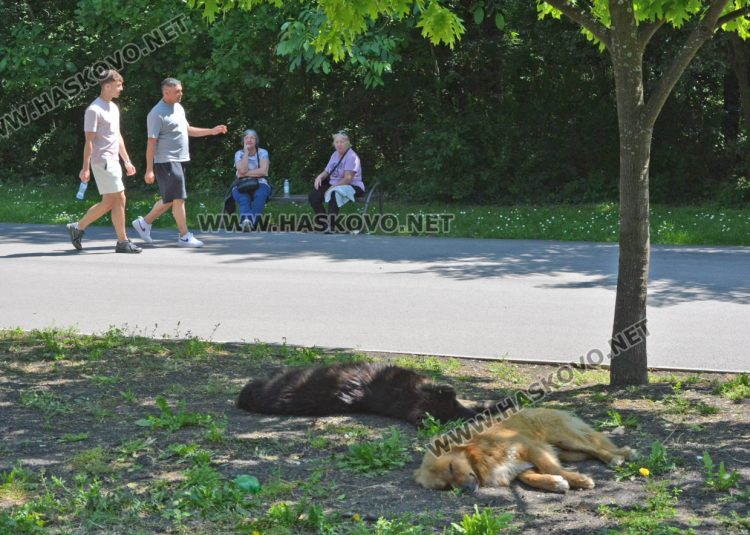 Променлива облачност със слаб вятър, но топло в сряда