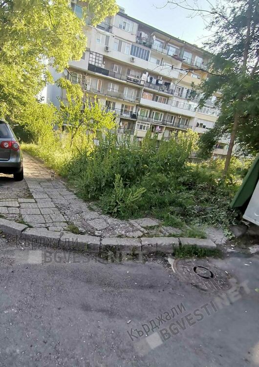 Треви избуяха след дъждовете в междублоковите пространства в Кърджали, от общинската фирма ОБЧ не смогват да косят