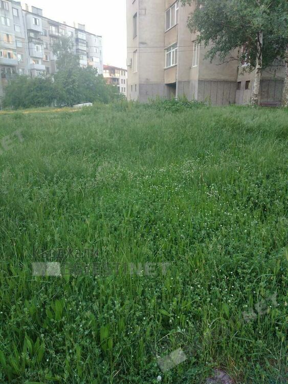 Треви избуяха след дъждовете в междублоковите пространства в Кърджали, от общинската фирма ОБЧ не смогват да косят
