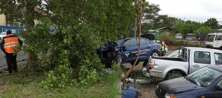 Кола на НАП събори дърво и връхлетя коли в автокъща