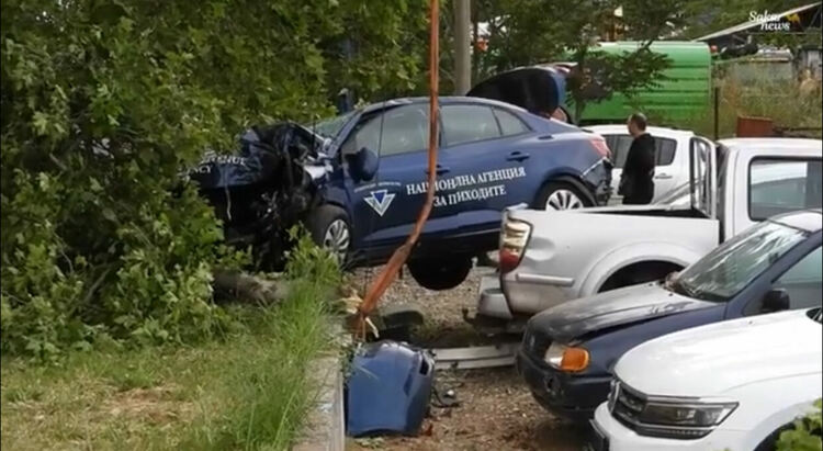Кола на НАП събори дърво и връхлетя коли в автокъща