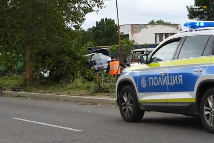 Кола на НАП събори дърво и връхлетя коли в автокъща