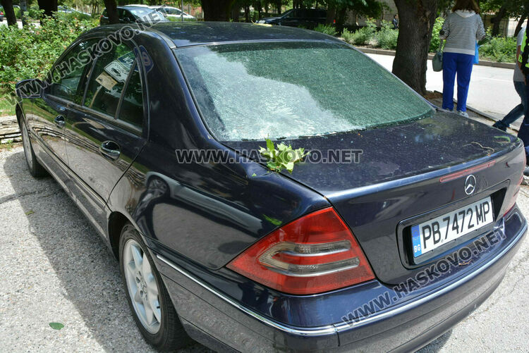 Вятърът събори дърво върху кола в Хасково