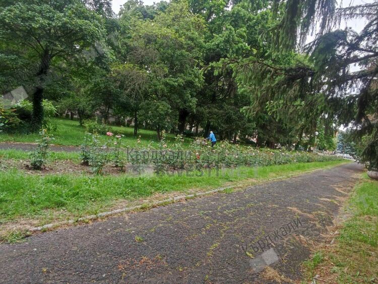   Предимно слънчево и ветровито днес в Кърджали